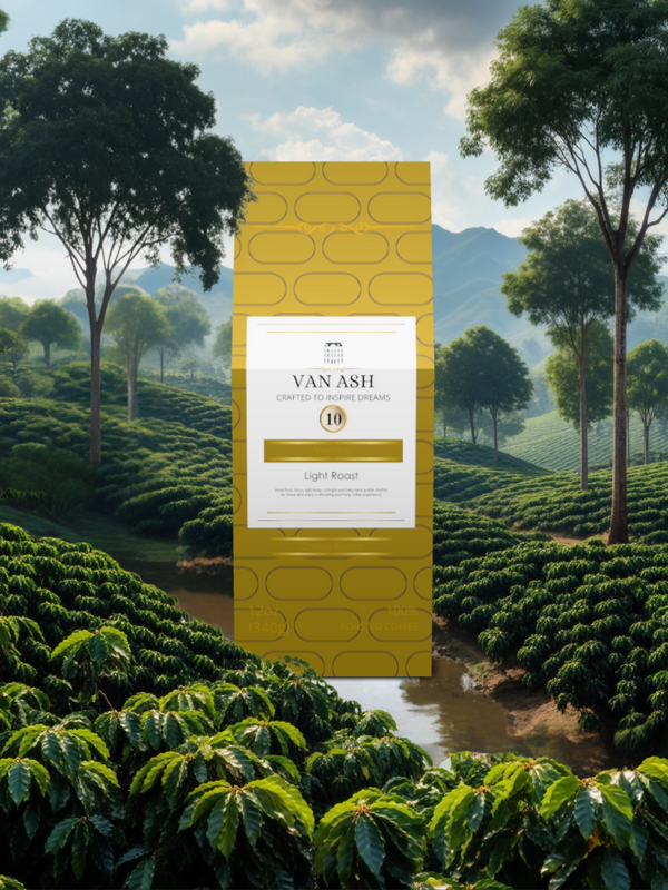 Verano No. 10 - Coffee Beans - Premium VAN ASH Coffee in Elegant Packaging.